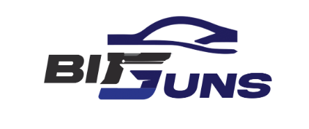 BIG GUN logo